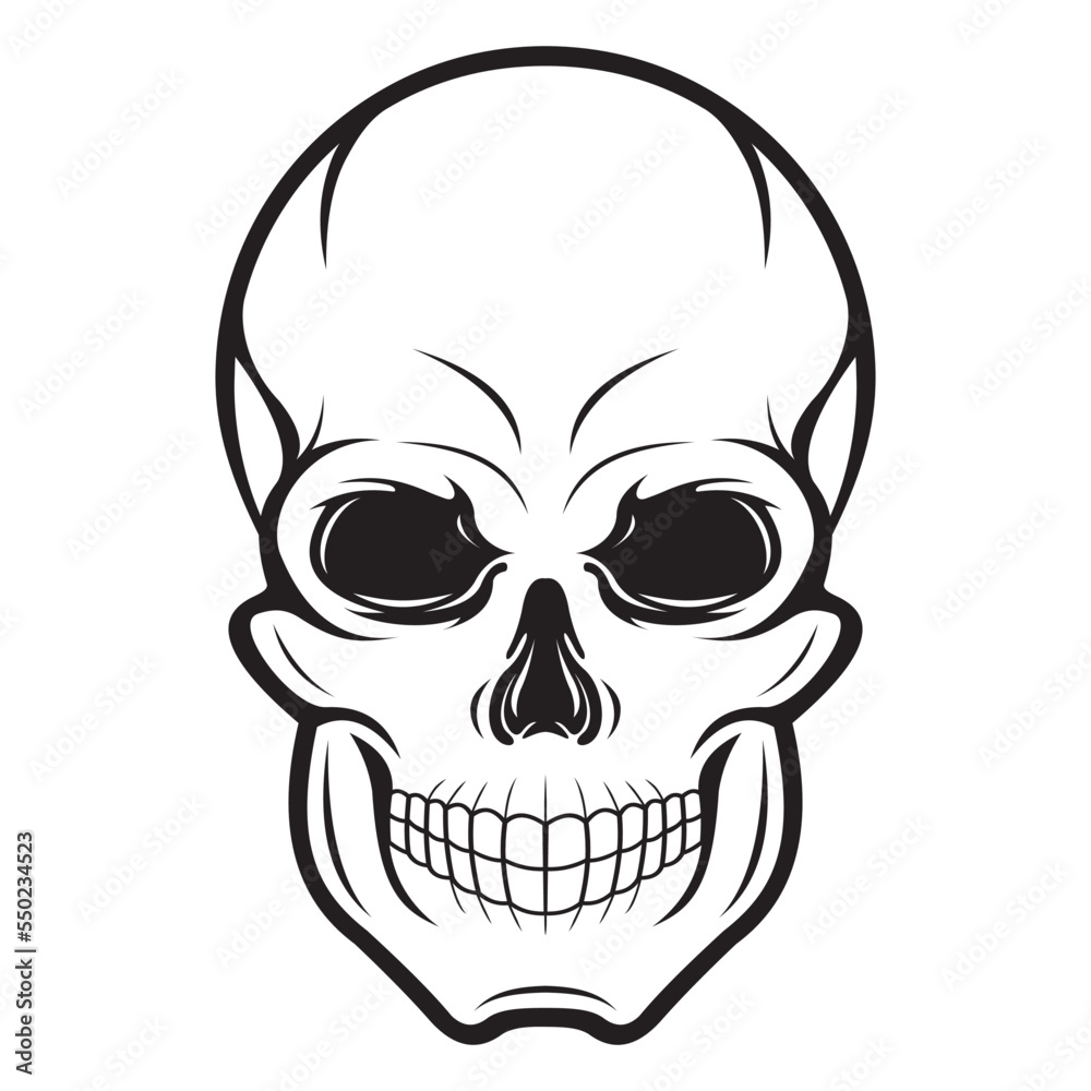 Obraz premium human skull