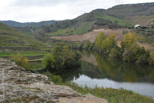 Vineyards in the Douro Valley in Portugal
