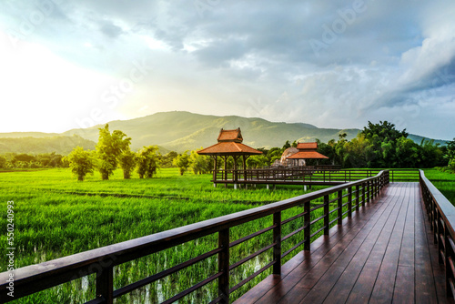 Walkway along a rice field with cottage and mountain background landscape © Rattanapon