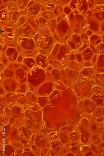 Macro texture fiber magnification microscope bright blood