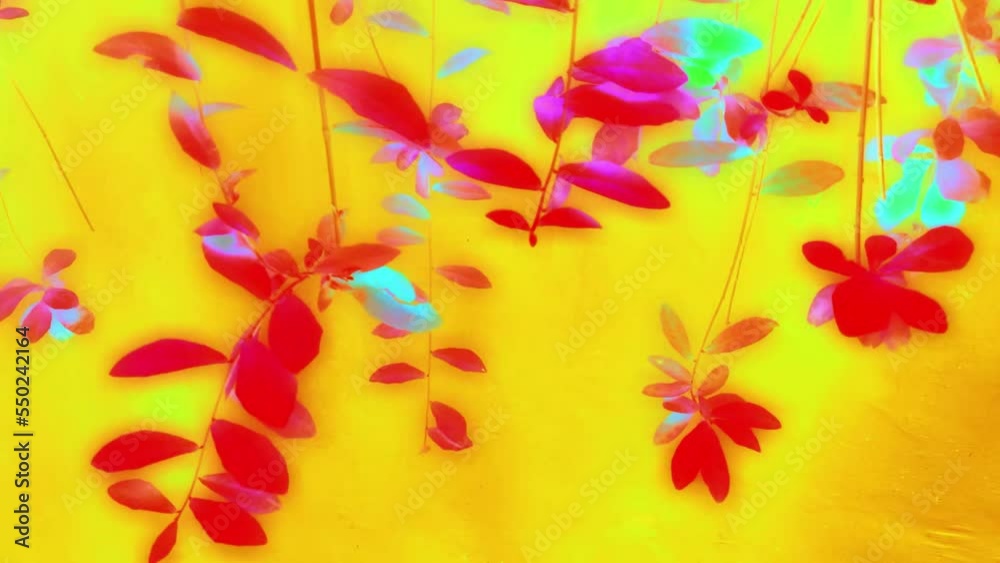 autumn leaves background glossy blur autumn leaves background glossy blur