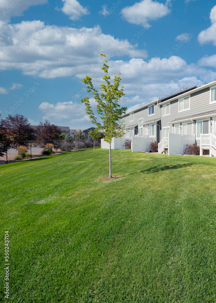 Fototapeta premium Vertical White puffy clouds Field outside the residential townhouse building at Utah Valley