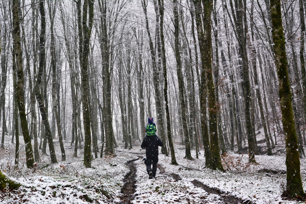 Majestic winter landscape. frosty tree and a snowy path. Christmas holiday concept, winter background. Walking father and son. Majestic winter landscape. frosty tree and a snowy path. Christmas holiday concept, winter background. Walking father and son.