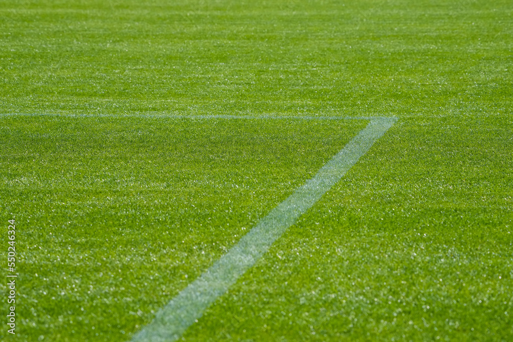 Obraz premium きれいに整備された青々とした天然芝のサッカーピッチとペナルティゴールライン