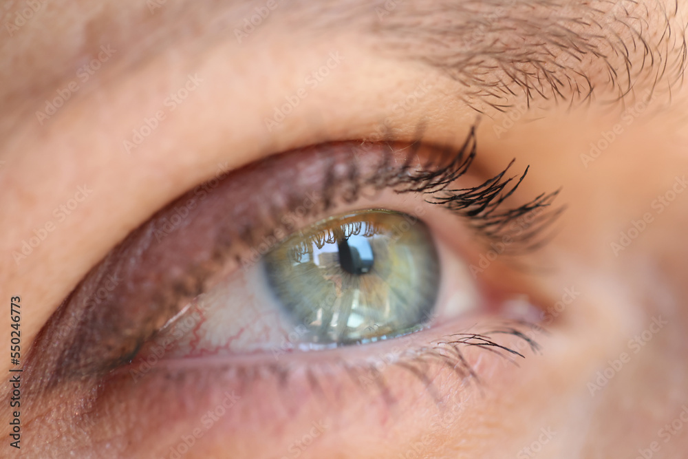 Obraz premium Green iris with reflection, shallow depth of field.