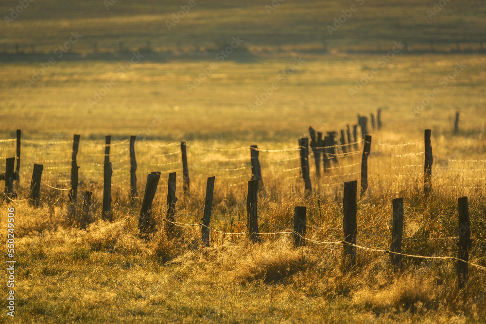 RURAL LANDSCAPE - An old fence on a pasture in a sunny cool morning