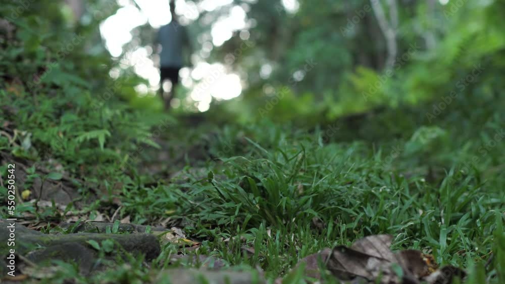 Unrecognizable blurry man walks and jogs alone in the tropical forest. Unrecognizable blurry man walks and jogs alone in the tropical forest.