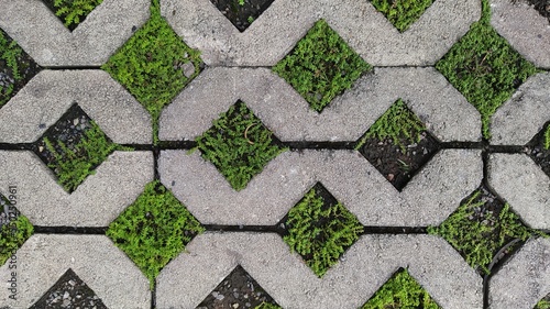 geometric grass block or paving block