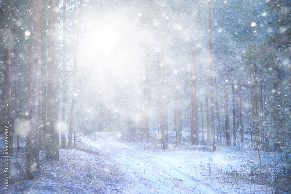 Naklejka premium winter background snowfall trees abstract blurred white