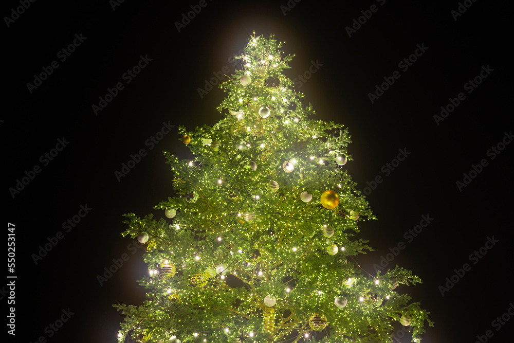 クリスマスツリー クリスマスツリー