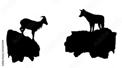 kangaroo silhouette vector