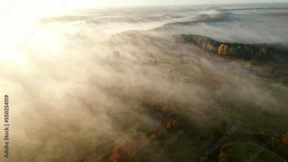 Aerial sunrise fog at the Soomaa National Park rivers Aerial sunrise fog at the Soomaa National Park rivers