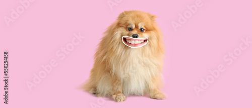 Obraz na plátně Cute smiling dog with human lips on pink background