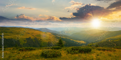 carpathian mountain range in summer at sunset. landscape with forested hills and grassy meadows rolling down in to the valley in evening light. travel ukraine