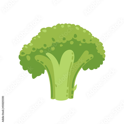 Fresh green broccoli for children cartoon illustration. Cute baby food or product isolated on white background. Complementary food, nutrition concept.