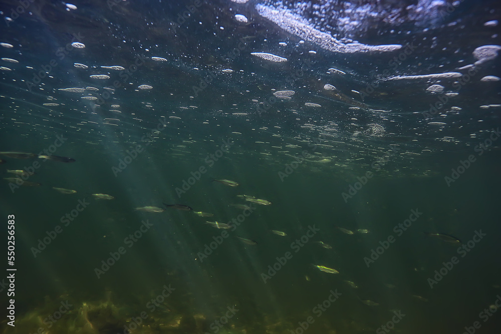 Fototapeta premium sun rays under water landscape, seascape fresh water river diving