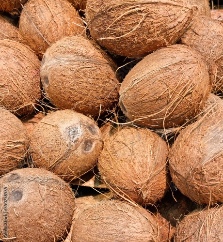 Fondo con detalle y textura de multitud de cocos con cascara y tonos marrones