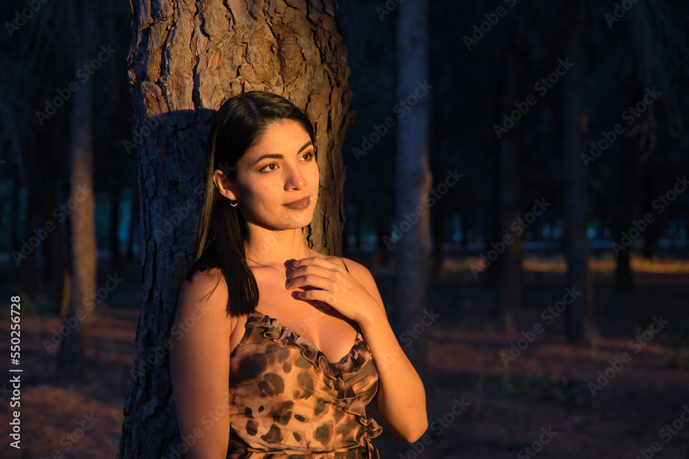 Fototapeta premium South American woman, young and beautiful, brunette, in leopard dress, leaning on the trunk of a tree, in the golden hour. Concept beauty, fashion, autumn, golden hour, melancholy.