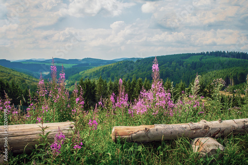 Ausflug ins Sauerland