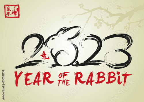 2023 Year of the Rabbit - Chinese New Year