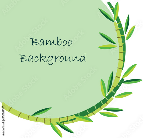 background with bamboo green leaves