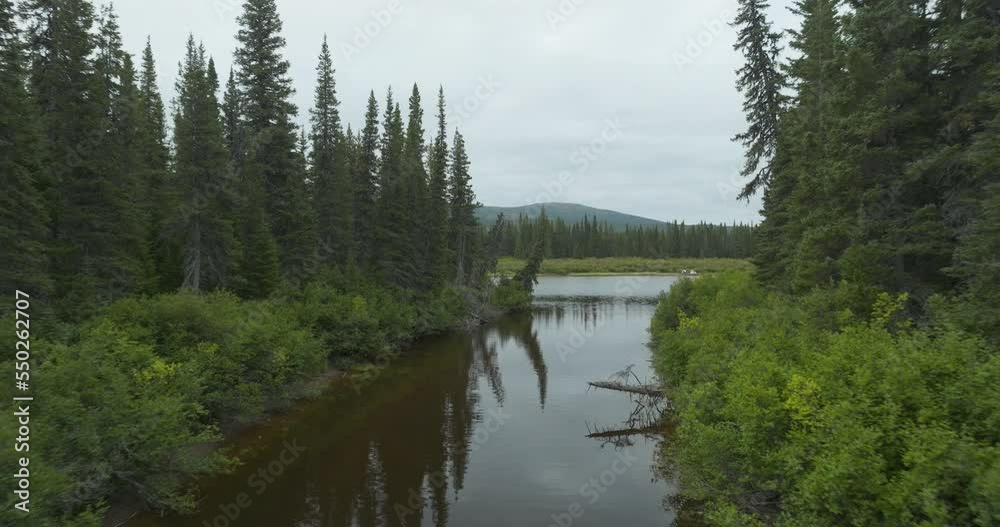 A calm river running through a large forest in Newfoundland and Labrador A calm river running through a large forest in Newfoundland and Labrador