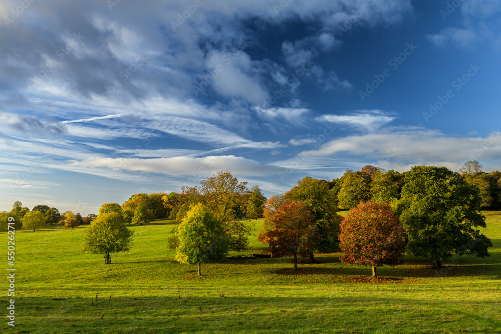 Wentworth Woodhouse, landscape with tree and clouds