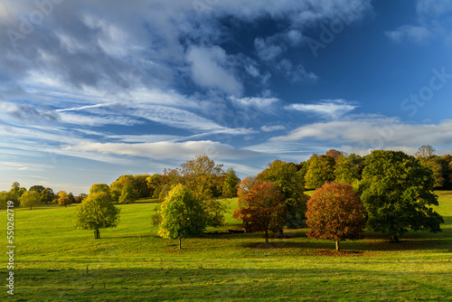 Wentworth Woodhouse, landscape with tree and clouds