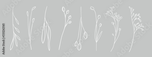 Spring leaves and white wildflowers collectoin isolated on gray background. White Botanical sprigs set. Vector floral illustration.  photo