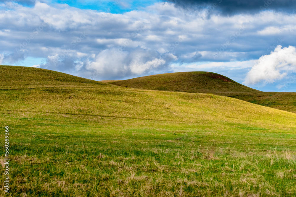 steppe field with cirrus clouds