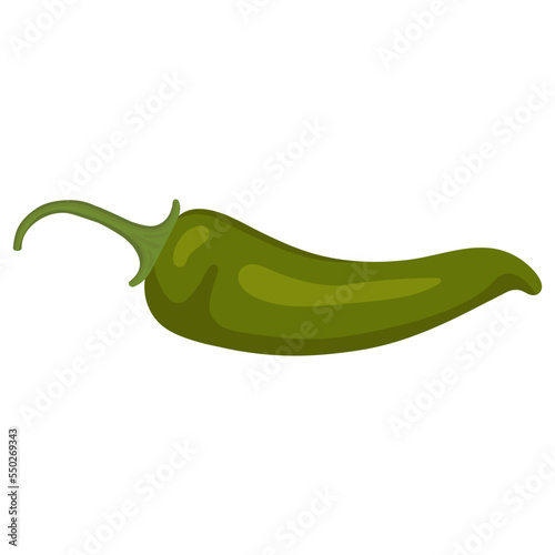 Green hot pepper. Vector illustration of green pepper. Isolated image of pepper.