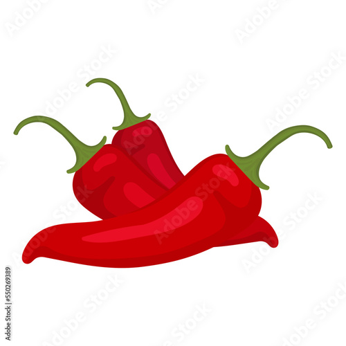 Red hot chili pepper. Vector illustration of red chili pepper. Isolated image of chili pepper.