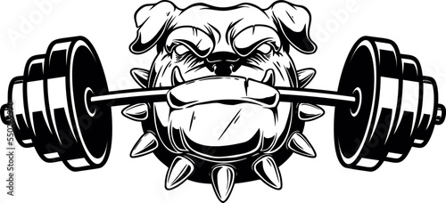 Angry dog head with gym barbell in teeth. Design element for logo, sign, emblem. Vector illustration