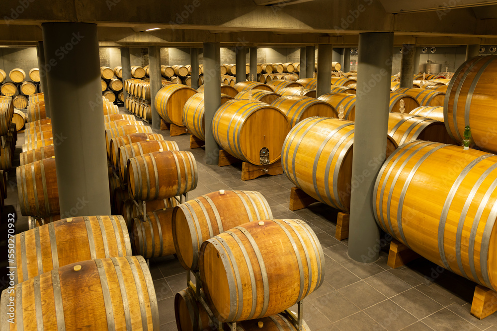 wine cellar full of wooden barrels in Barolo, Piedmont, Italy wine cellar full of wooden barrels in Barolo, Piedmont, Italy
