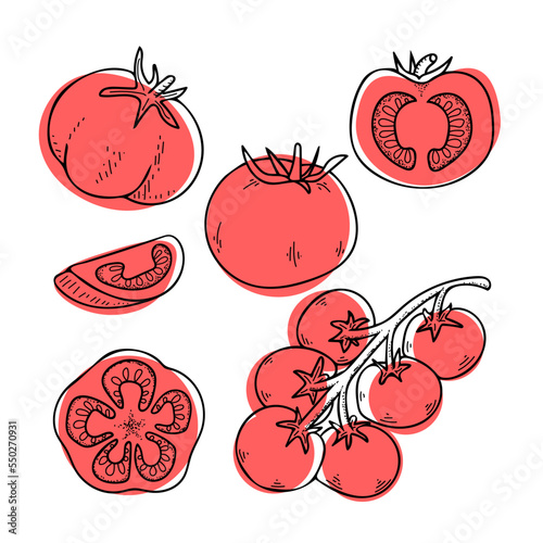 Set red tomatoes sketch. Gather ripe vegetables from garden. Doodle drawing herbal products. Sliced tomato, cherry branch. Hand drawn vector outline.