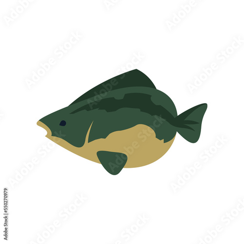 Green fish cartoon illustration. Green fish, seafood. Fishery, marine industry, transportation, factory concept