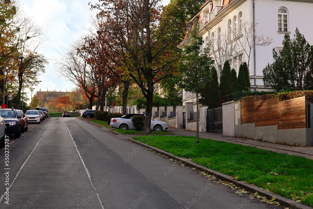View of city street with trees and road on autumn day