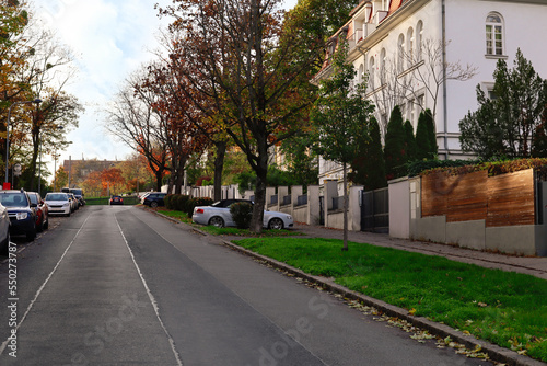 View of city street with trees and road on autumn day