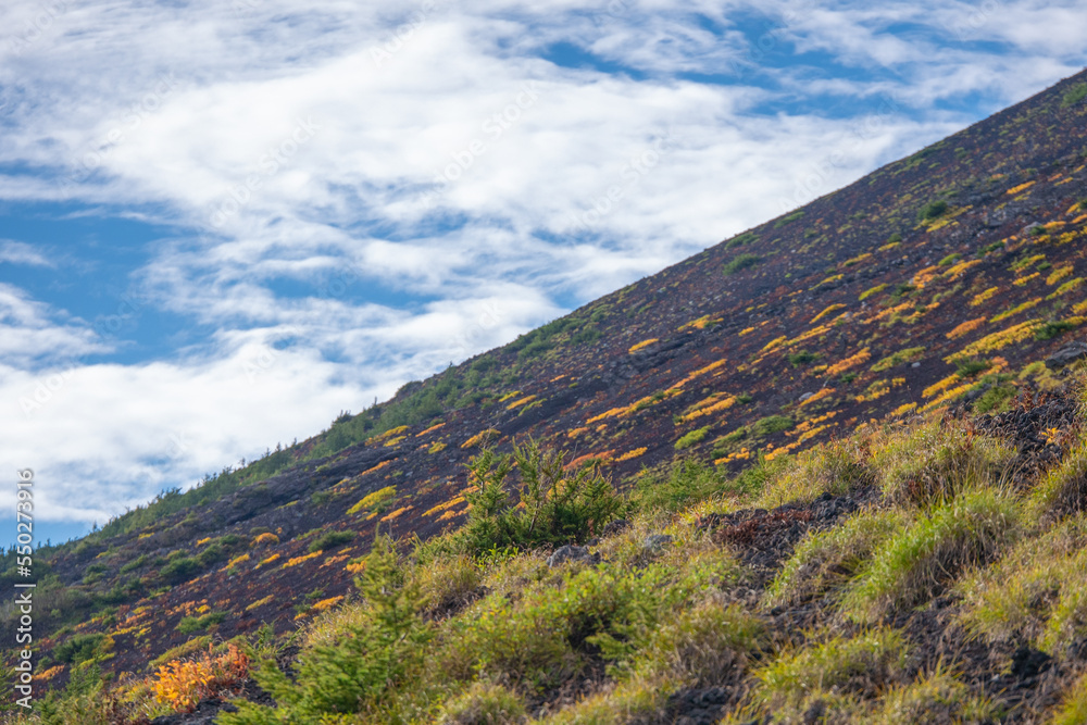 Fototapeta premium 富士山６合目