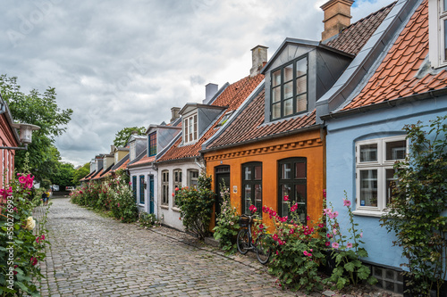 Obraz na plátně Streetview In The Old Møllestien In Aarhus