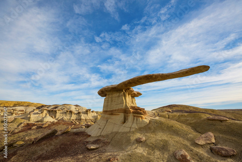 Bisti
