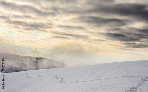 Trail on a snow-covered mountain slope. Snowshoe tracks on the surface of deep snow. Winter mountan landscape. © Oleksiy