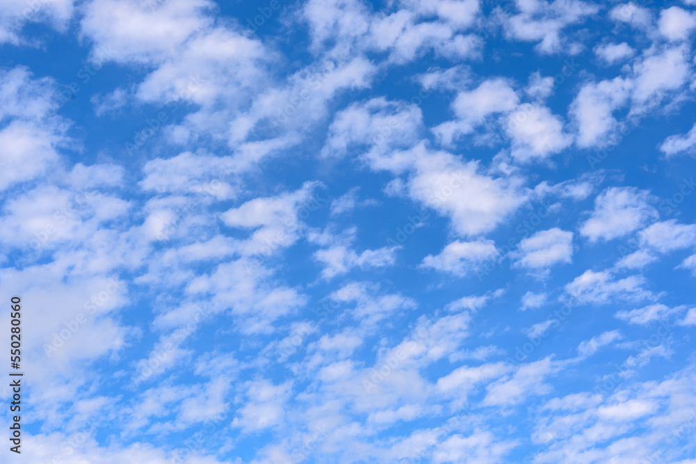 custom made wallpaper toronto digital白駒池　空