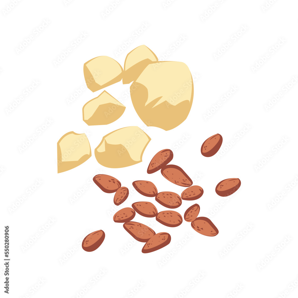 Bunch of cacoa beans for chocolate cartoon illustration. Ingredients of sweet chocolate dessert isolated on white background. Restaurant, nutrition concept. Bunch of cacoa beans for chocolate cartoon illustration. Ingredients of sweet chocolate dessert isolated on white background. Restaurant, nutrition concept.