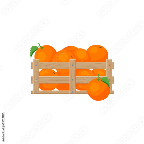 Oranges in wooden box vector illustration. Cartoon drawing of oranges from farm or garden for export isolated on white background. Organic food, farming, gardening concept