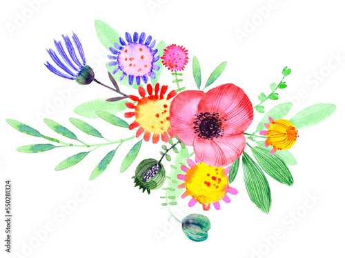 Hand drawn watercolor flowers, poppy, cornflower, daisy, leaves, branches.