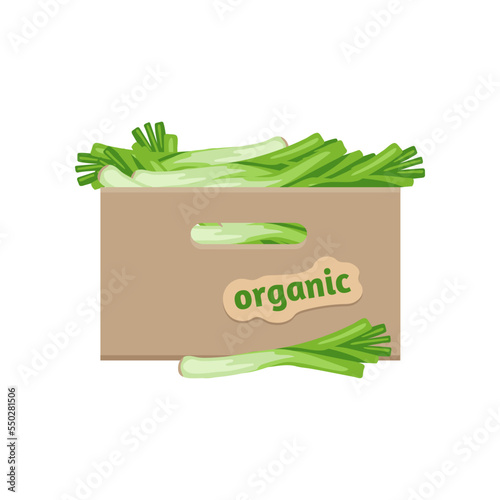 Leek in wooden box vector illustration. Cartoon drawing of leek from farm or garden for export isolated on white background. Organic food, farming, gardening concept
