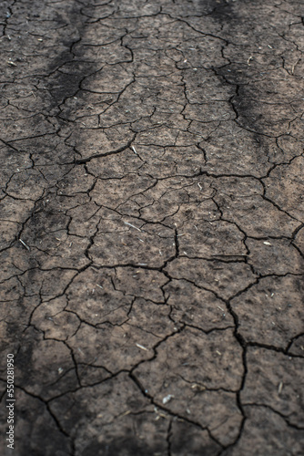 a field cracked from a summer drought