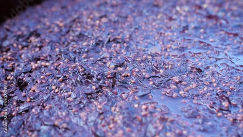 Fermentation of wine,process Fermentation of grape must with bubbles