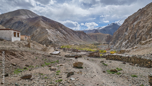Upper Hankar village in Markha valley, Ladakh